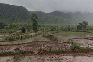 heavy rainfall in deogarh