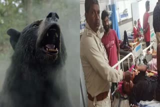 Tribal youth clashed with bear to save his life