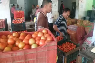 Tomato prices