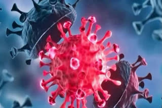 Biological Terrorism: China engineered Covid-19 "bioweapon" to purposely infect people, reveals Wuhan researcher