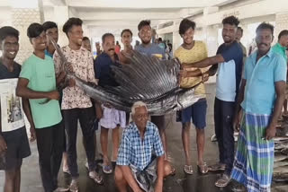 thoothukudi-61-day-fishing-ban-in-tuticorin-ends-fishermen-rejoice