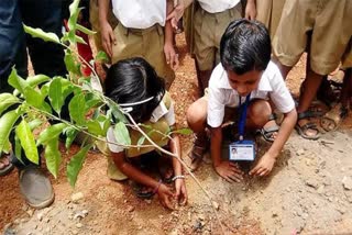 Plantation in schools of Haryana.