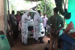 Swine flu at idukki  Swine flu  pigs were euthanized  pigs dead Swine flu  പന്നിപ്പനി  ഇടുക്കിയിൽ പന്നിപ്പനി  പന്നികളെ ദയാവധം ചെയ്‌തു  പന്നികൾ ചത്തു