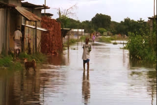 Assam Flood situation improved