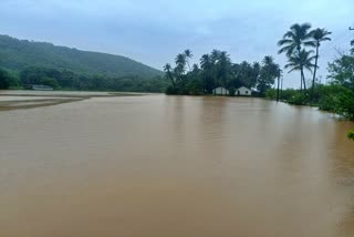 houses of Idur village and hundreds of acres of land are flooded
