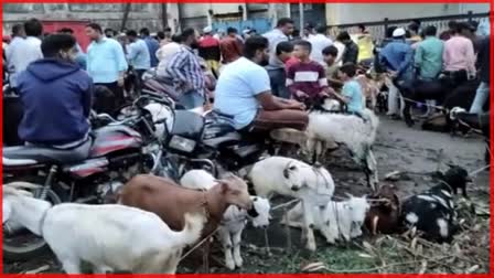 Bakri Eid 2023