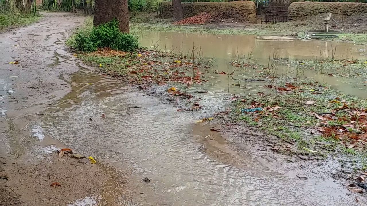 Water logging in many areas of Shahdol