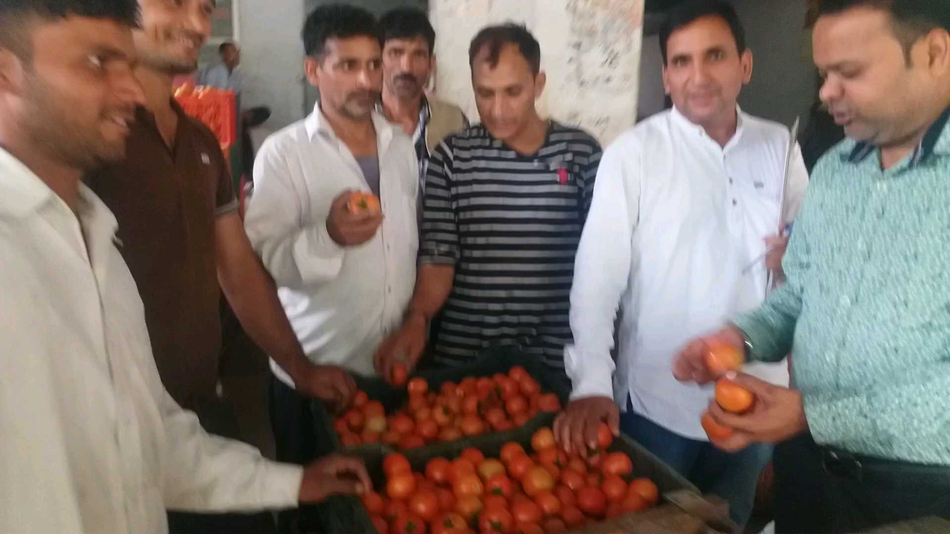 Tomato prices