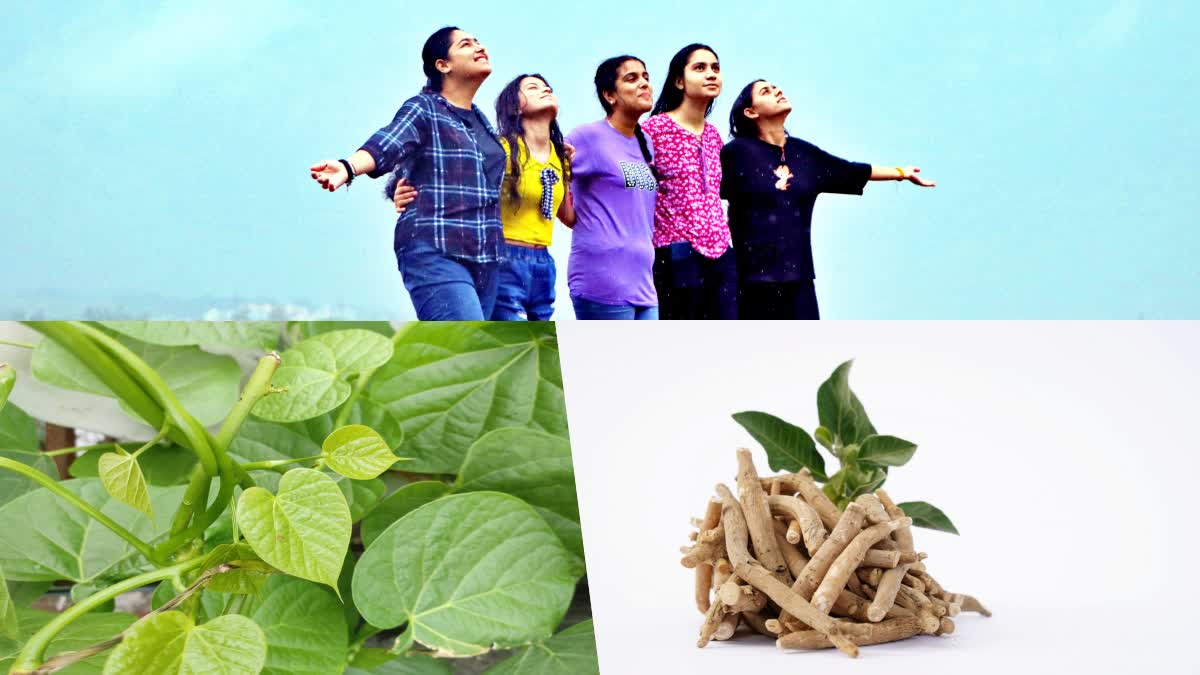 Etv BharatAyurvedic herbs for strong immunity