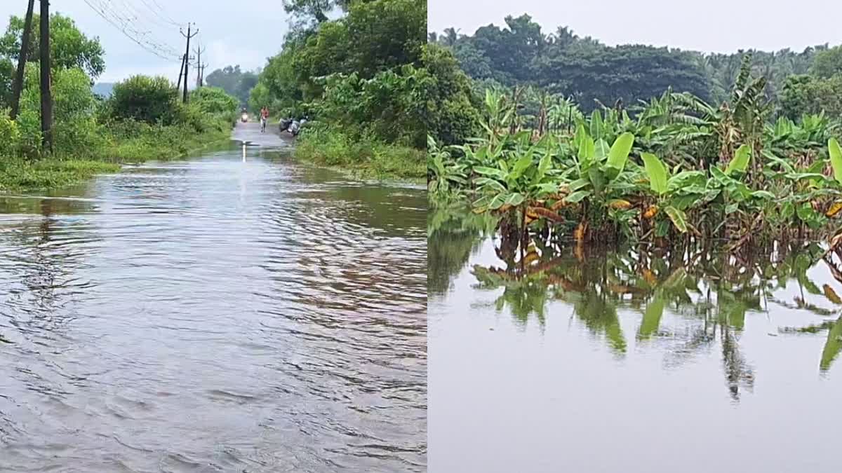 കോഴിക്കോട് കനത്തമഴ  HEAVY RAINFALL IN KOZHIKODE  കോഴിക്കോട് വെളളക്കെട്ട്  KOZHIKODE RAIN UPDATES