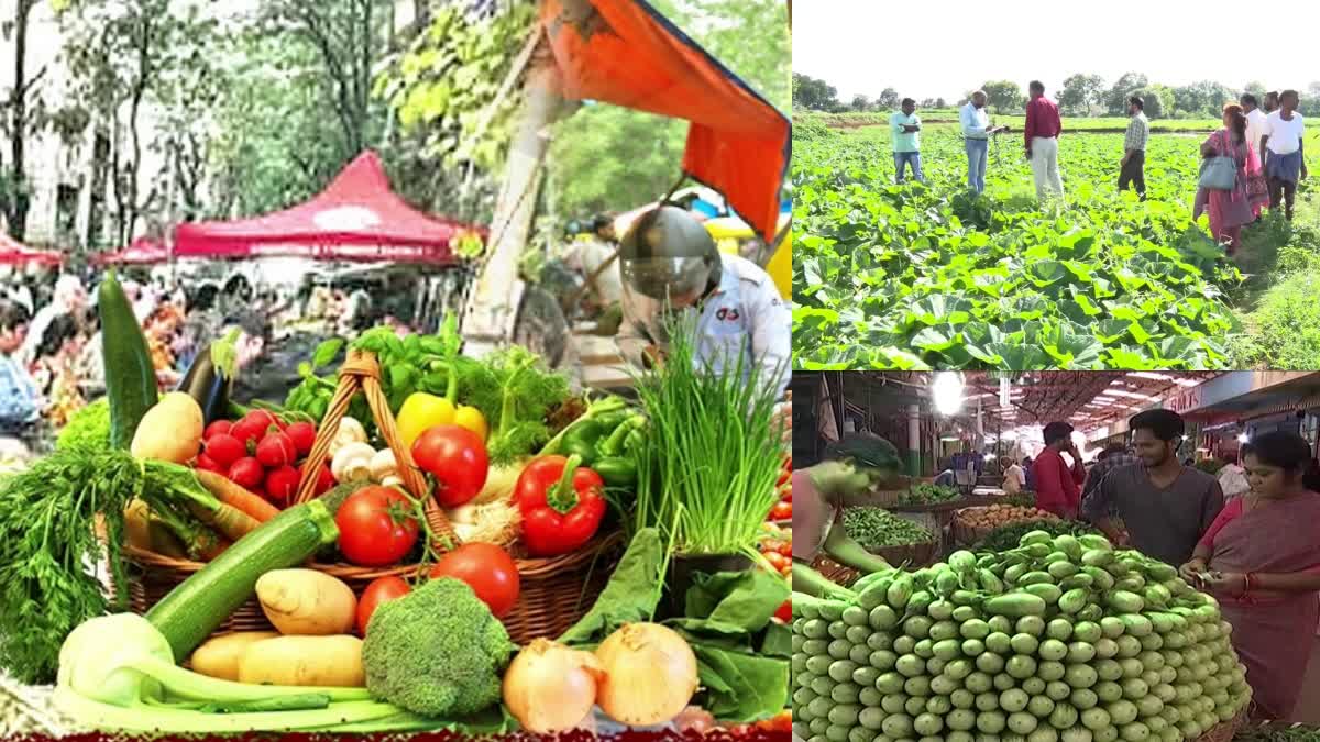 Vegetables Prices in Telangana