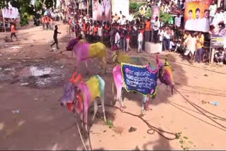 ಕಾಖಂಡಕಿ ಕರಿ ಹರಿಯುವ ಹಬ್ಬ