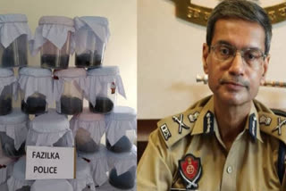 Punjab Police Seizes 66 Kg of Opium, Busts Jharkhand-Based Drug Syndicate