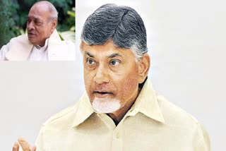 ap_cm_chandrababu_naidu_pays_tribute_to_pv_narasiomha_rao