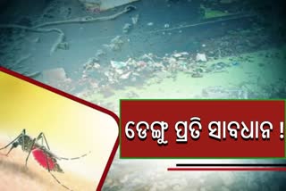 Dengue Situation in Odisha