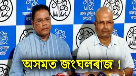 ASSAM TMC PRESS MEET