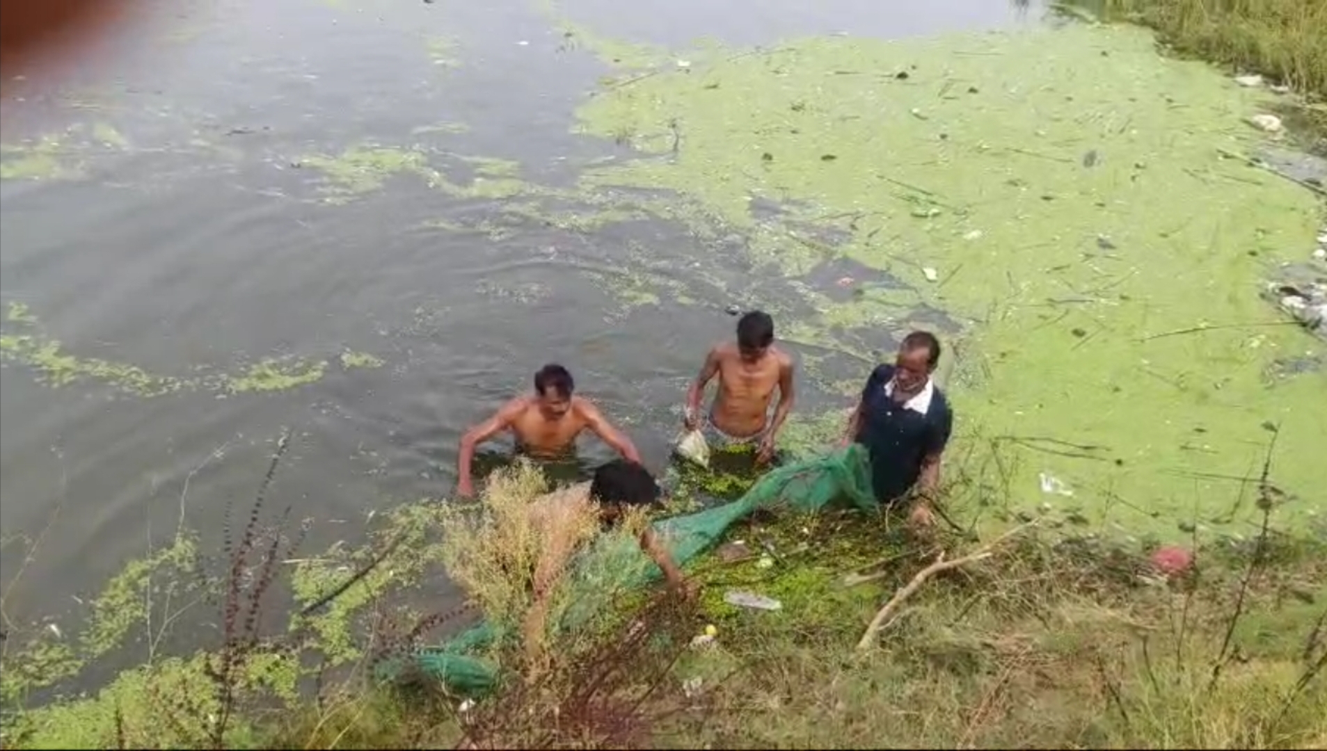 FISH DIED DUE TO FACTORY WATER