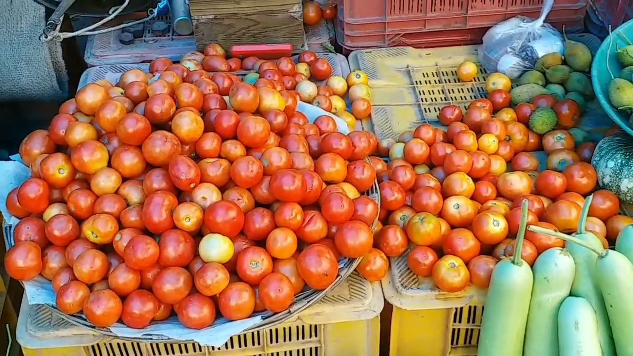tomato prices increasing