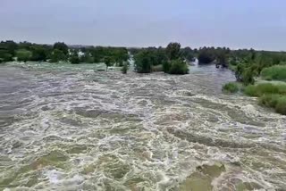 RAICHUR  ನಾರಾಯಣಪುರ ಜಲಾಶಯ  NARAYANAPURA RESERVOIR  KRISHNA RIVER