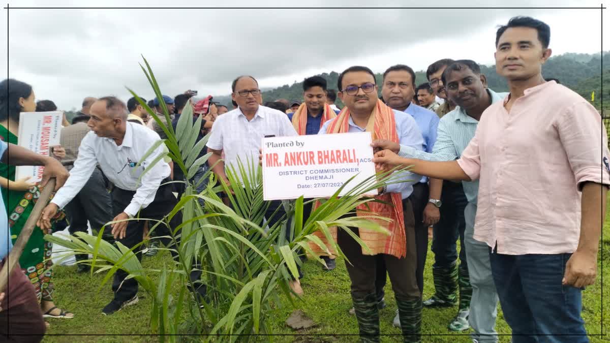 Farming in Assam