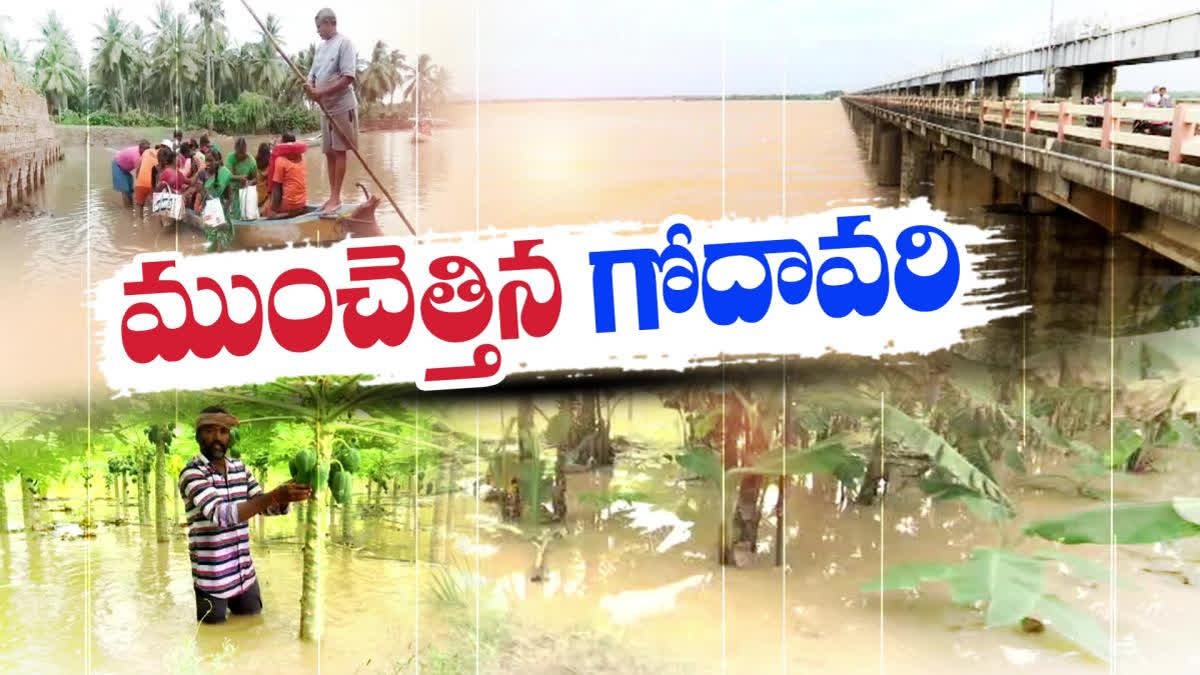 godavari floods