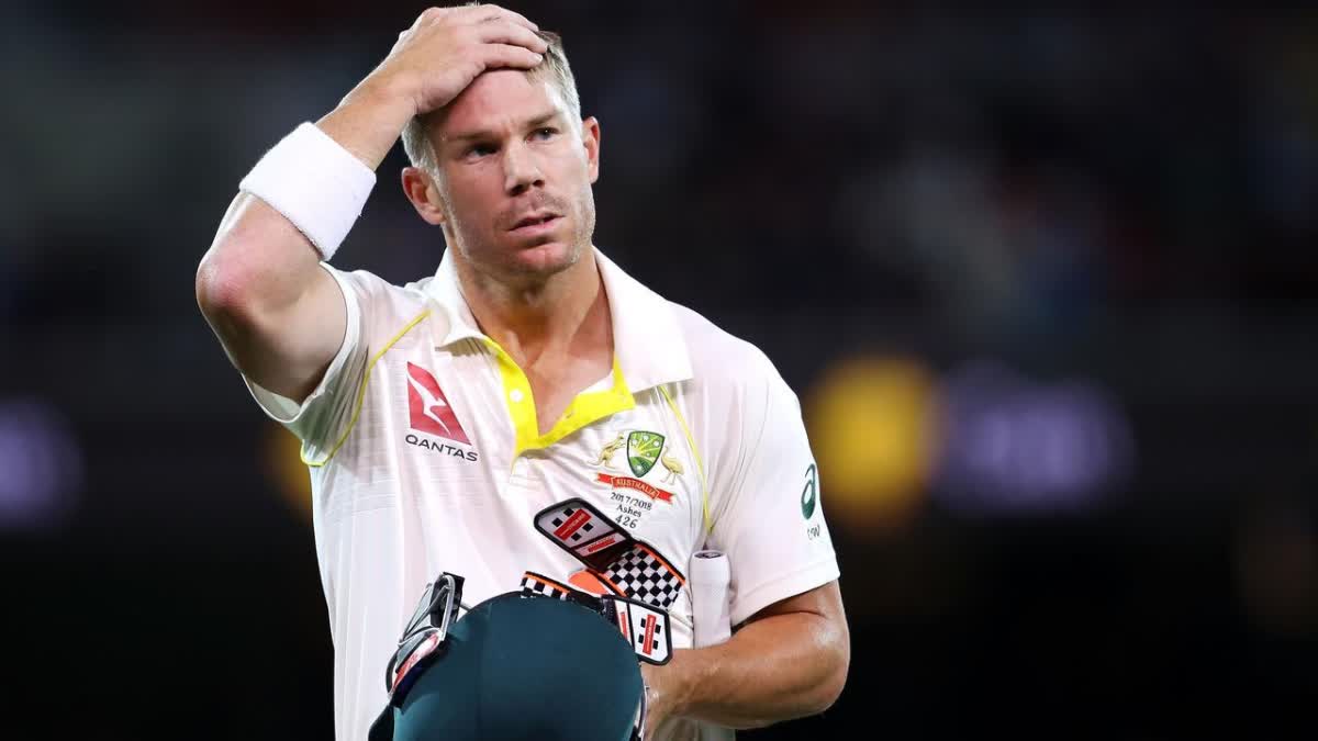 david warner