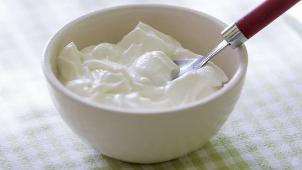 Curd or Yogurt