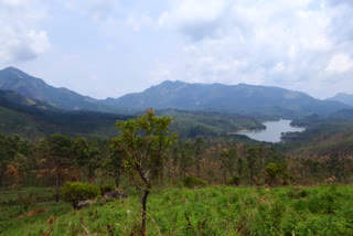 encroachment  forest department encroachment  forest department  revenue department  ചിന്നക്കനാൽ  വനം വകുപ്പ് റവന്യു ഭൂമി കയ്യേറി  വനം വകുപ്പ്  കയ്യേറ്റം