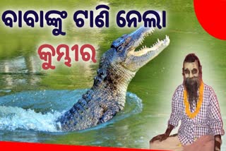 crocodile drag a man in kendrapara