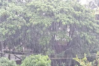 heavy rain in Dharwad