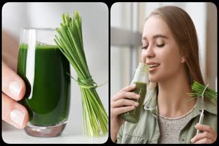 Wheatgrass juice Benefits