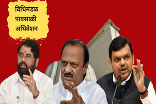 Maharashtra Assembly Session 2023