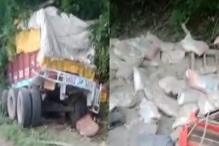 Truck collided with hill due to brake failure