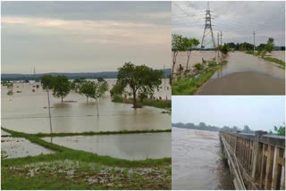 Peddapally Parvati barrage Gates Opened