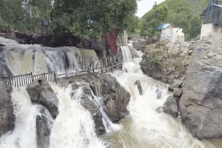 Hogenakkal Cauvery River