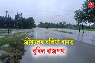Dhemaji flood update