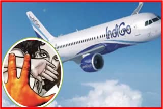 Mumbai  Professor accused arrested  released on bail in Woman doctor molestation case in Indigo flight