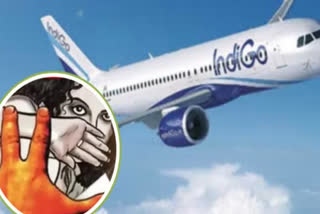 MUMBAI PROFESSOR ACCUSED ARRESTED RELEASED ON BAIL IN WOMAN DOCTOR MOLESTATION CASE IN INDIGO FLIGHT