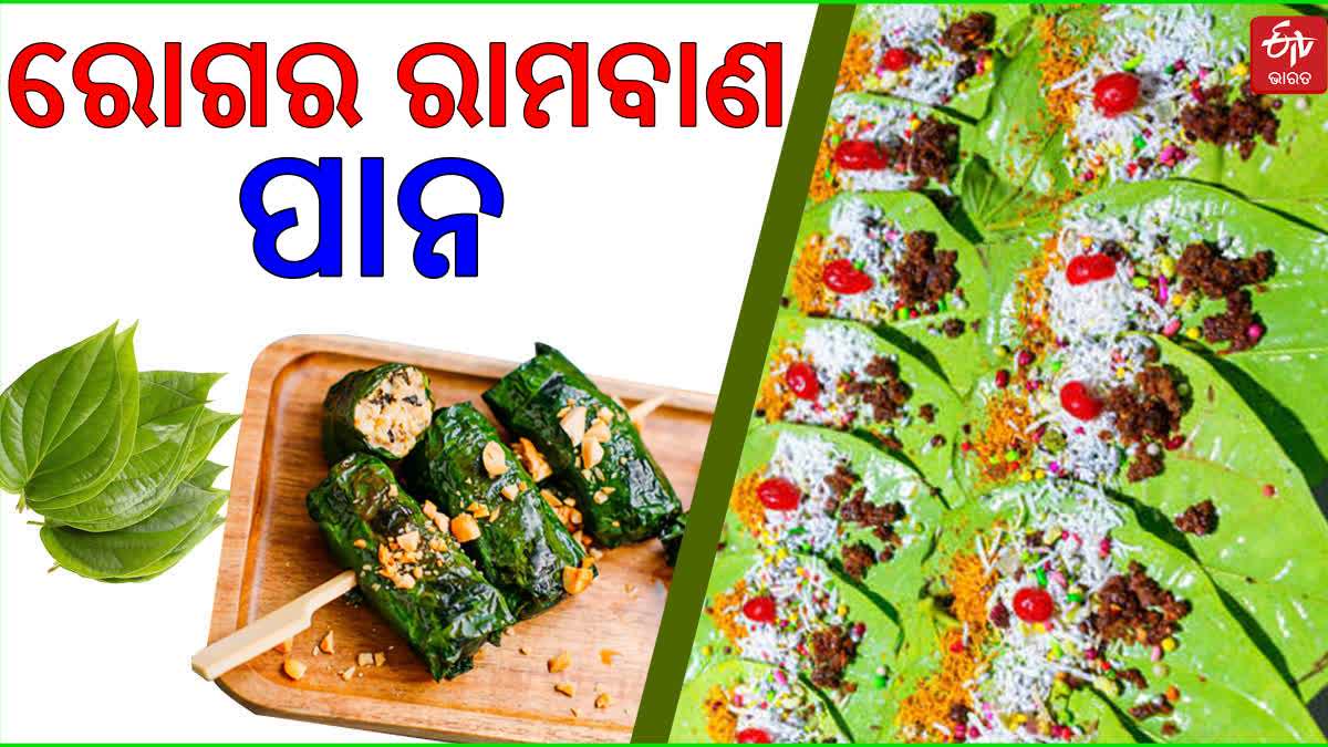 Benefits of Betel leaf