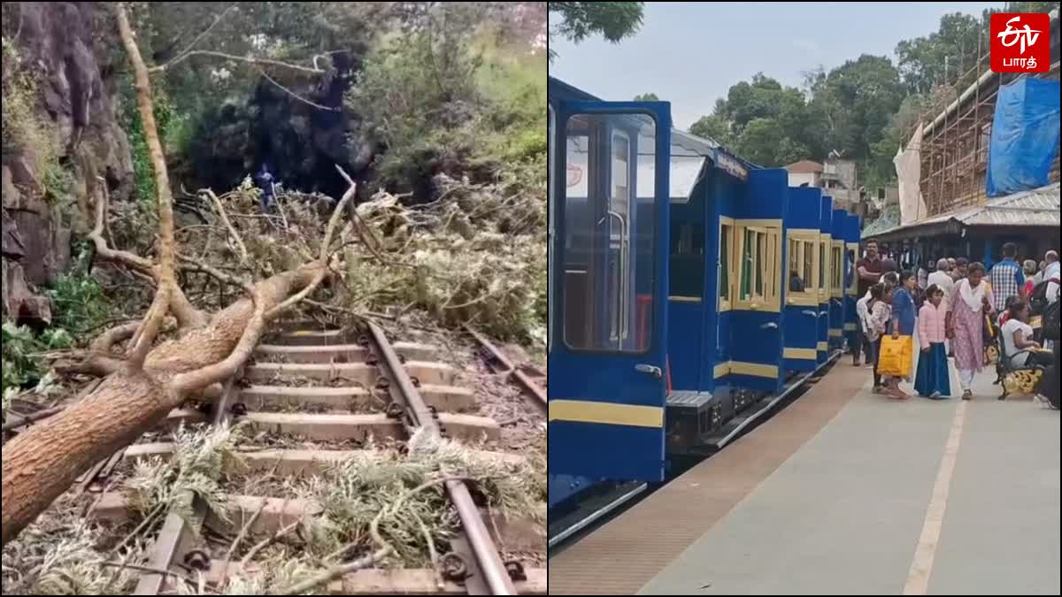 ரயில் தண்டவாளத்தில் விழுந்து கிடக்கும் மரம்