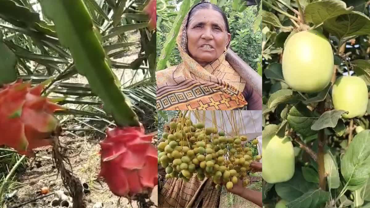 Mixed Farming Of Fruits In Beed