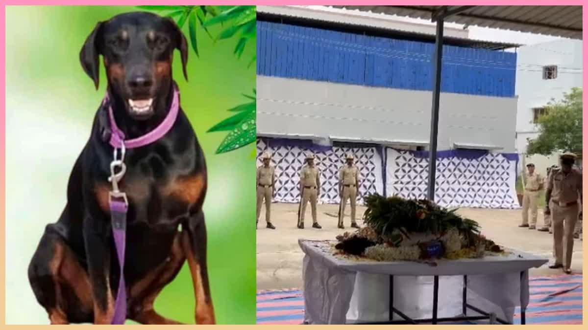 police-dog-bahu