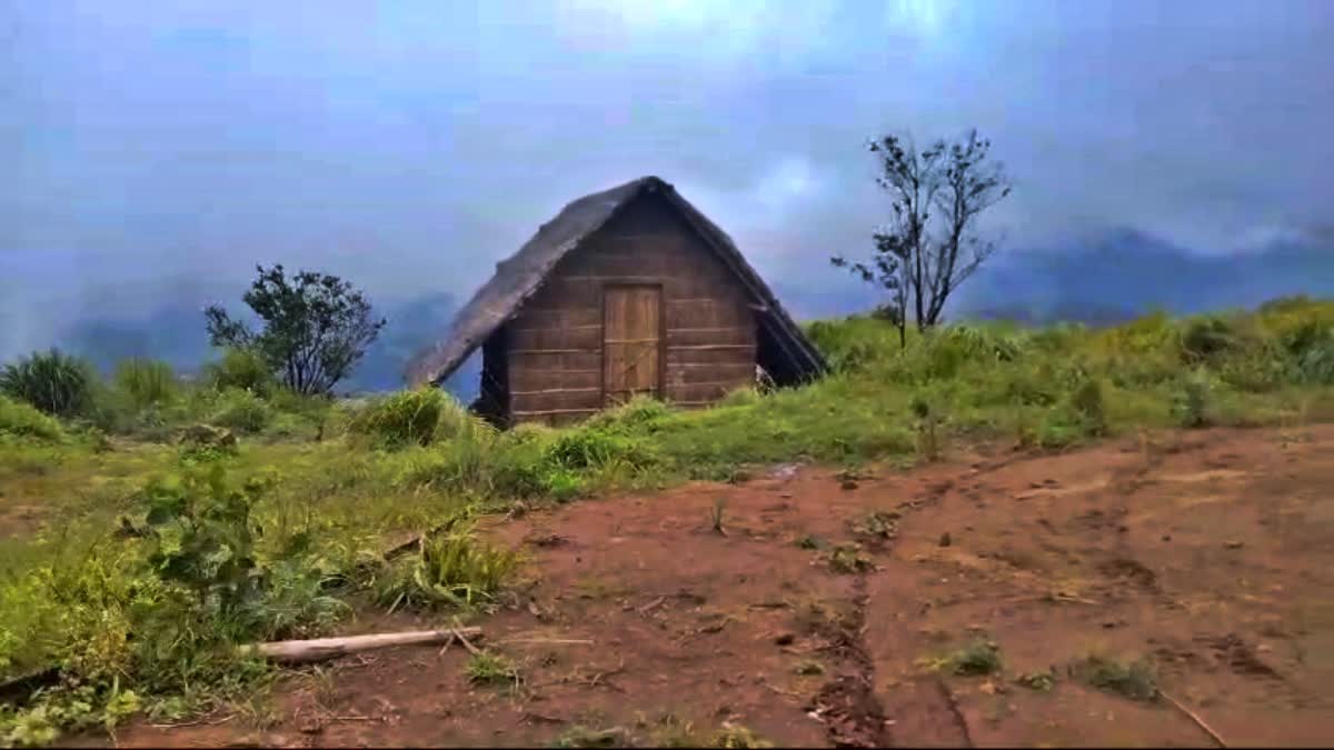 ഭൂമി കയ്യേറ്റം  SWIMMING POOL IN REVENUE LAND  IDUKKI LAND ENCROACHMENT  ഉടുമ്പൻചോല താലൂക്ക് ഭൂമി കയ്യേറ്റം