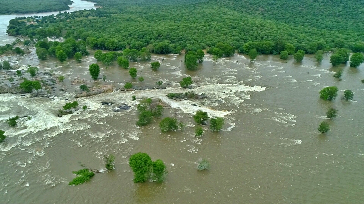 ಹೊಗೇನಕಲ್ ಜಲಪಾತ