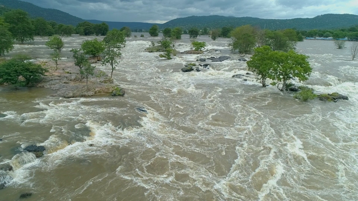 ಹೊಗೇನಕಲ್ ಜಲಪಾತ