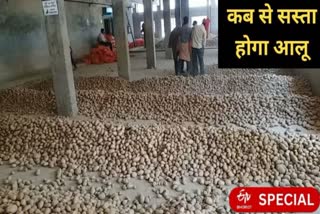 vegetable price when and how much the potato rates will become cheaper know in hindi