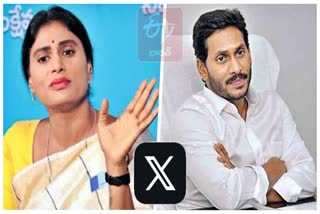 YS Sharmila Counter to YS Jagan