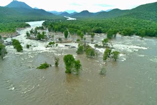 ಹೊಗೇನಕಲ್ ಜಲಪಾತ