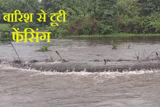 NEEMUCH GANDHI SAGAR SANCTUARY