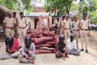 police_arrest_sandalwood_smuggler